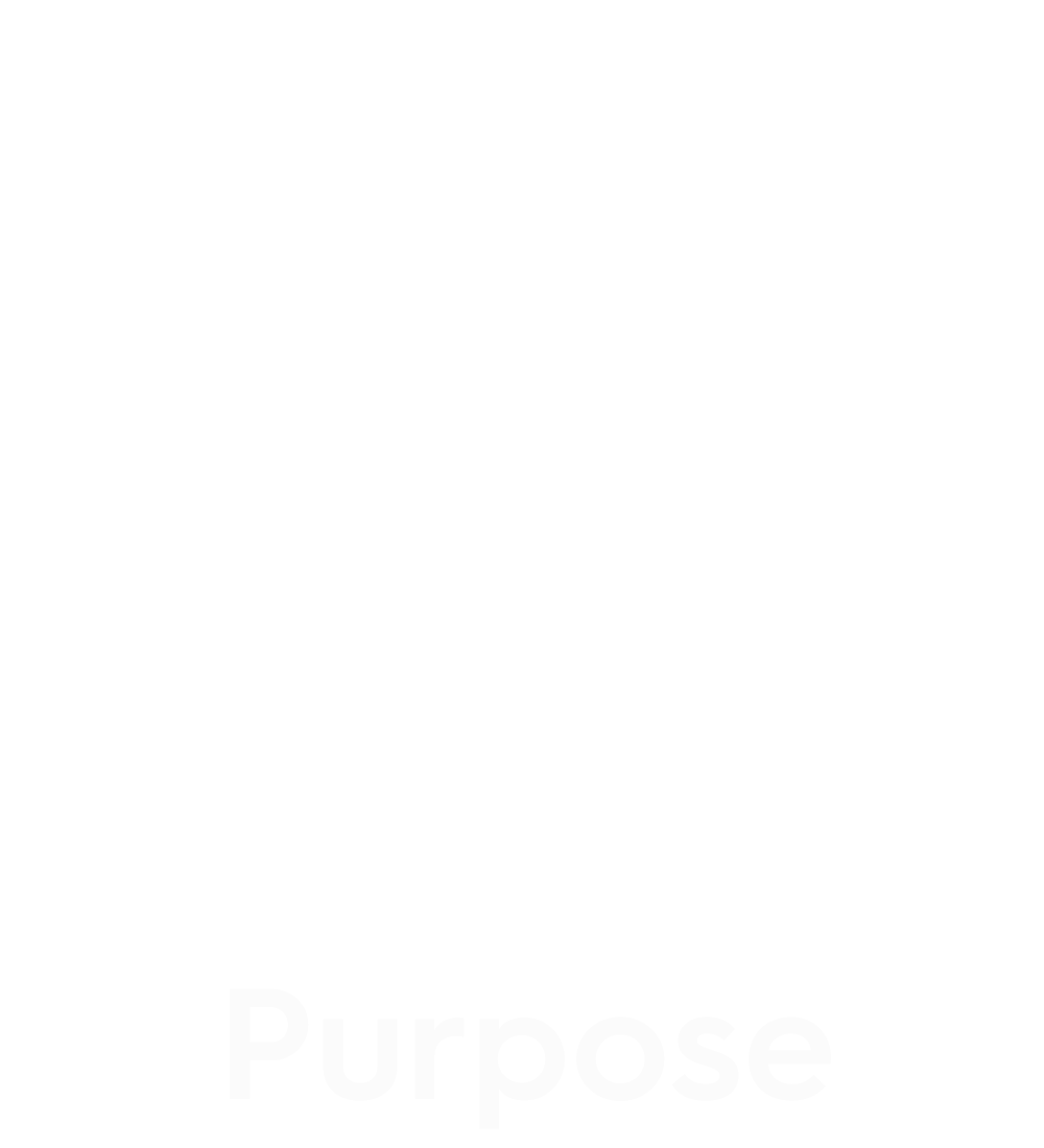 assessment purpose icon