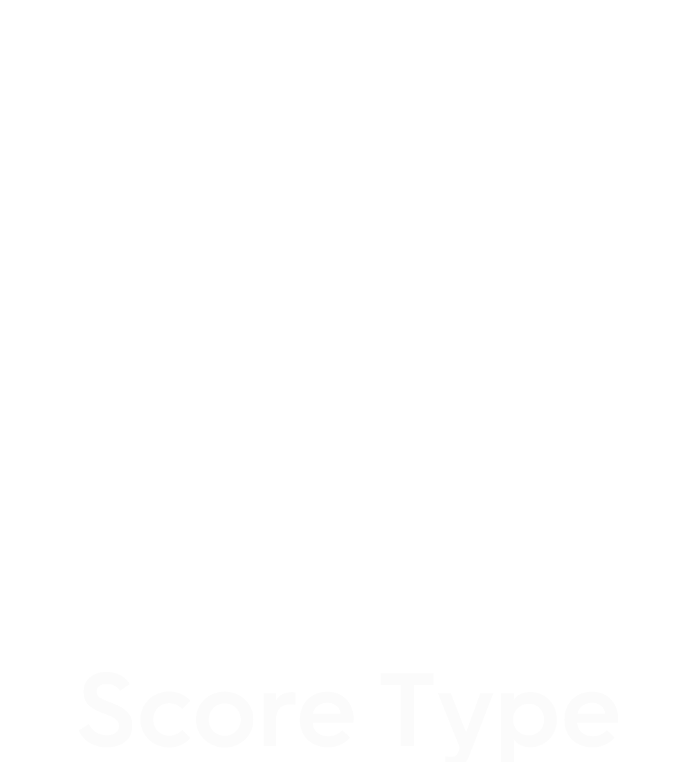 assessment score type icon