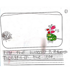 Child's drawing of a winged insect, labelled fly, on a leaf, labelled leaf, and words below that say first the butterfly is in the egg. The egg is on the leaf.